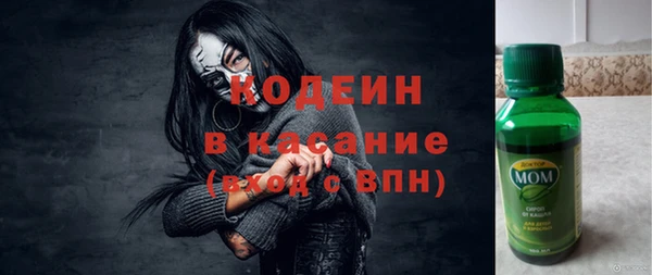 метадон Алексин