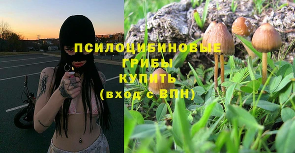 ECSTASY Абаза