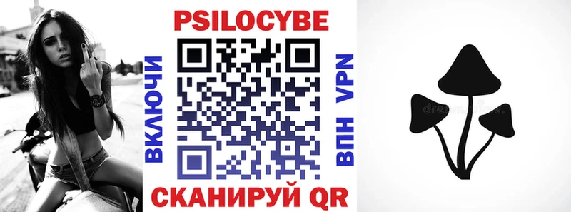 Псилоцибиновые грибы Cubensis  Ржев 