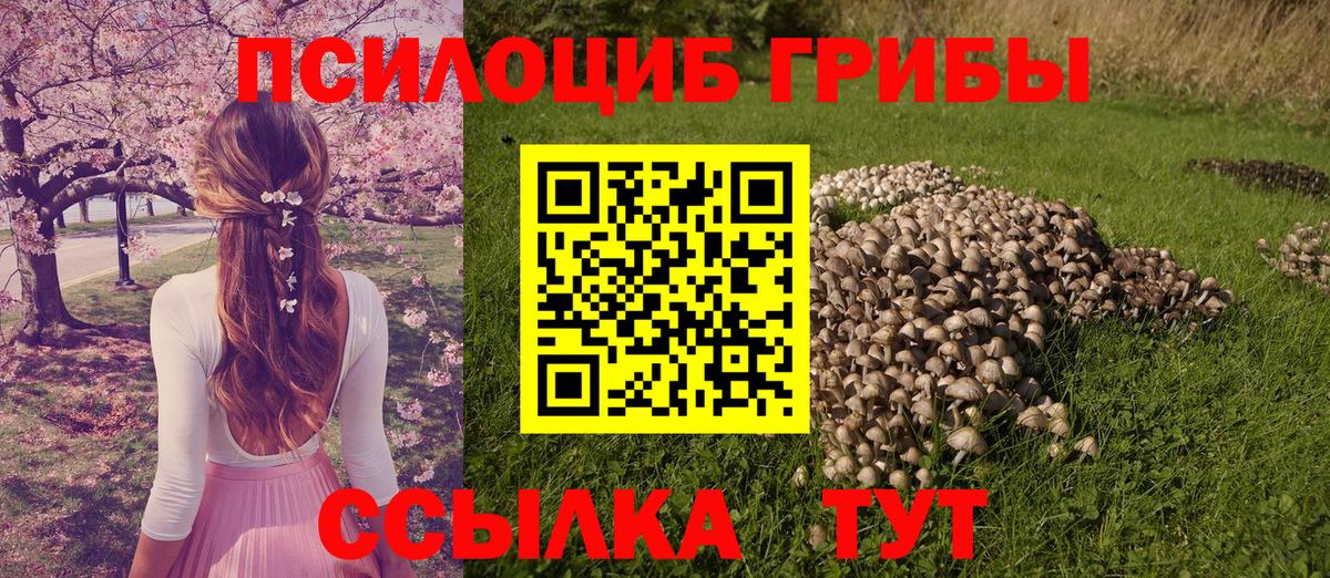 Псилоцибиновые грибы ЛСД  Вход с VPN  Ржев 